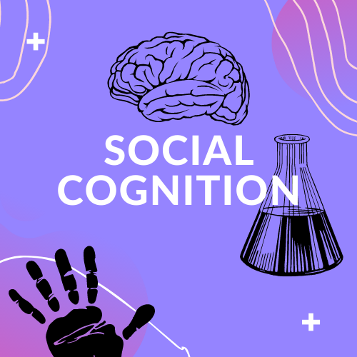 Social cognition header image